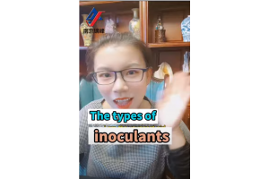 How good is the inoculant for our Duwang fried products?