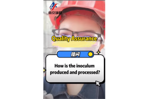 Immersive experience of the production process of gestation block