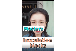 The key product of large castings-inoculation blocks