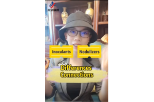 Do you want to know the difference and connection between spheroidizing agent and inoculant ？